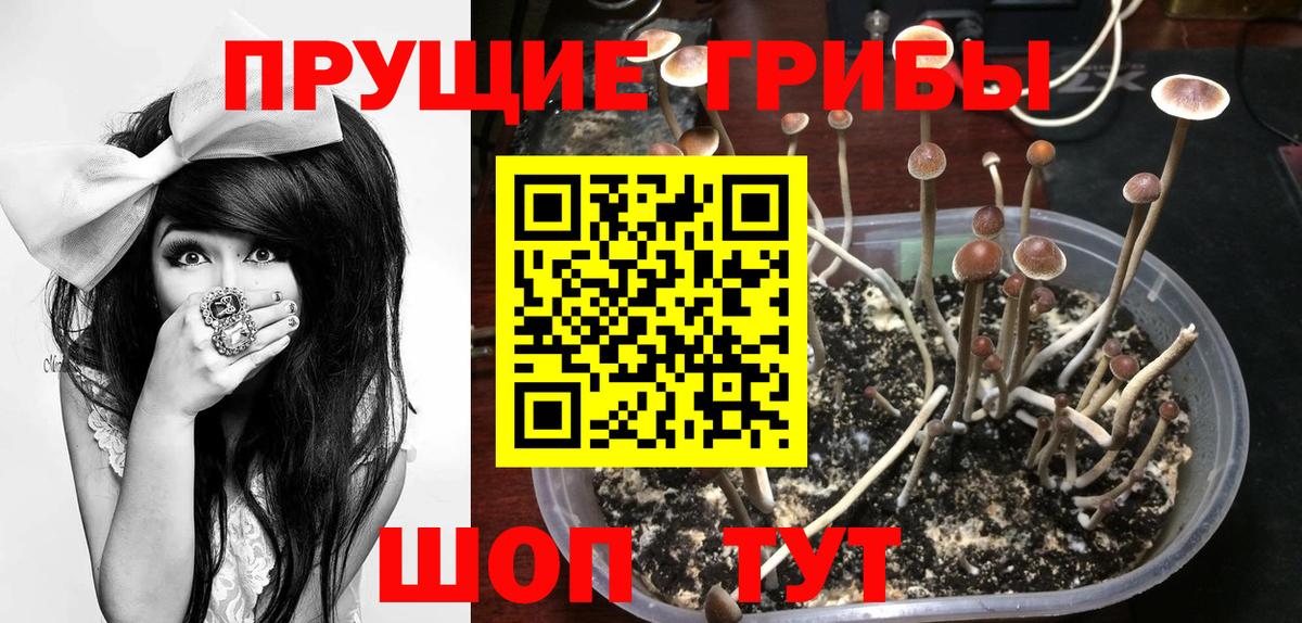 Галлюциногенные грибы GOLDEN TEACHER Горячий Ключ